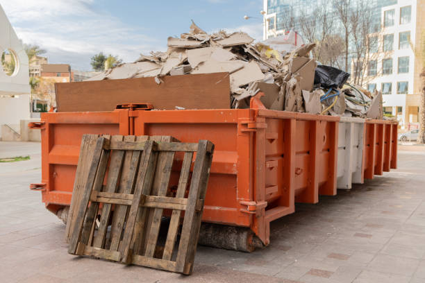 Shed Removal in Aventura, FL